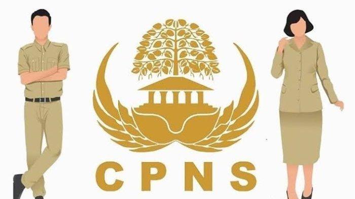 Update Terbaru CPNS: Perbedaan SKD dan SKB serta Strategi Menghadapinya