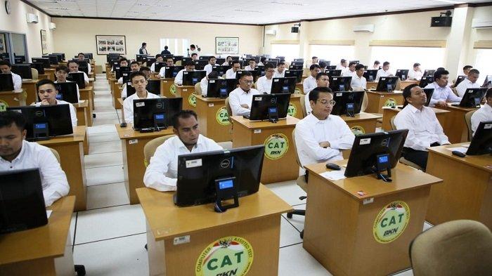 Langsung Gas! Akses Tryout CPNS Gratis dan Mudah di Website Tryout.id yang Ringan